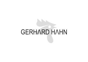gerhard hahn